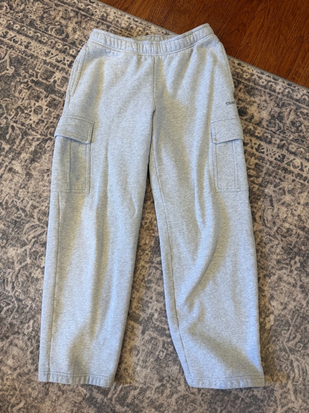 Aritzia TNA cargo sweatpants